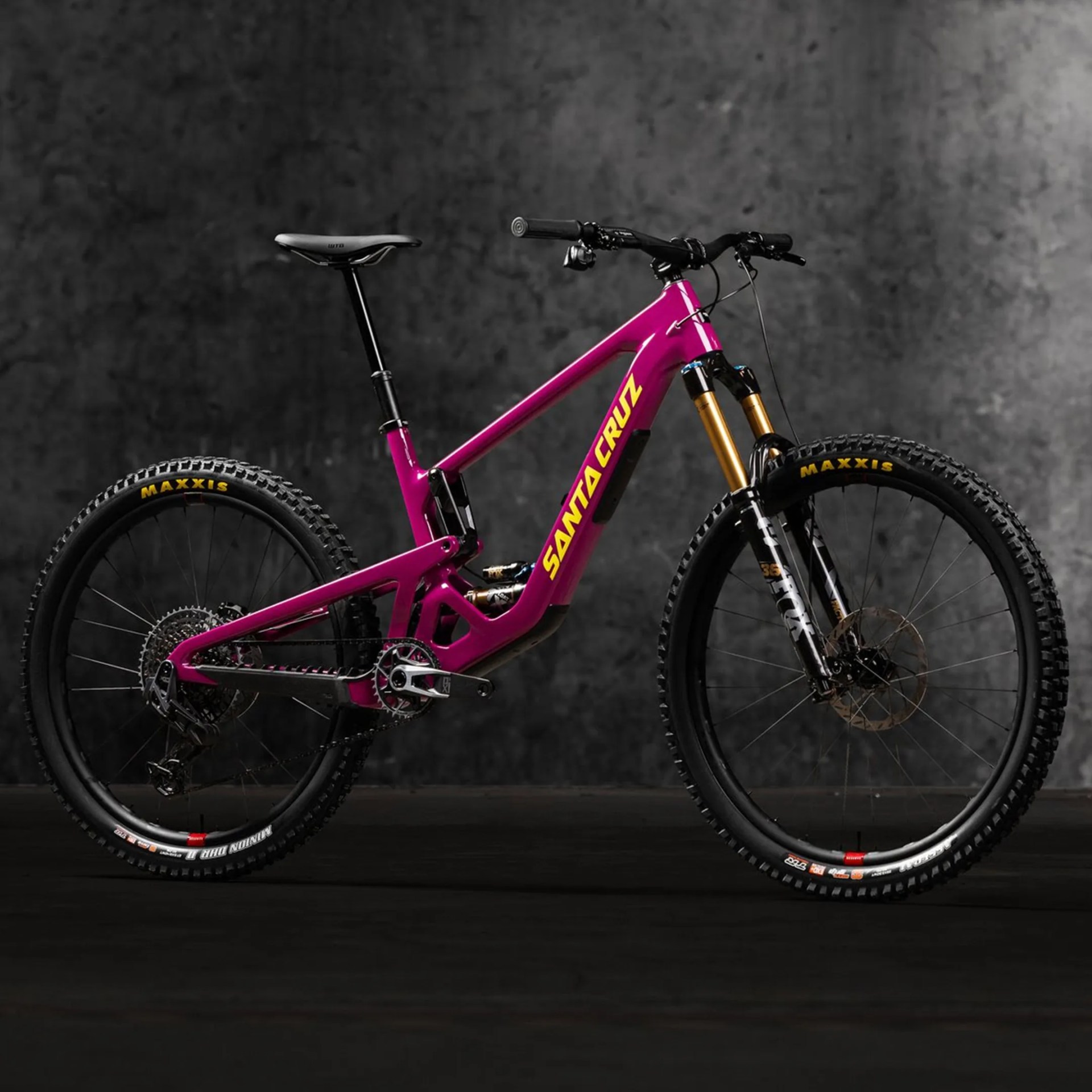 santa cruz bronson