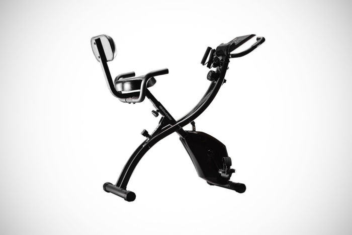 BulbHead Recumbent Exercise Bike