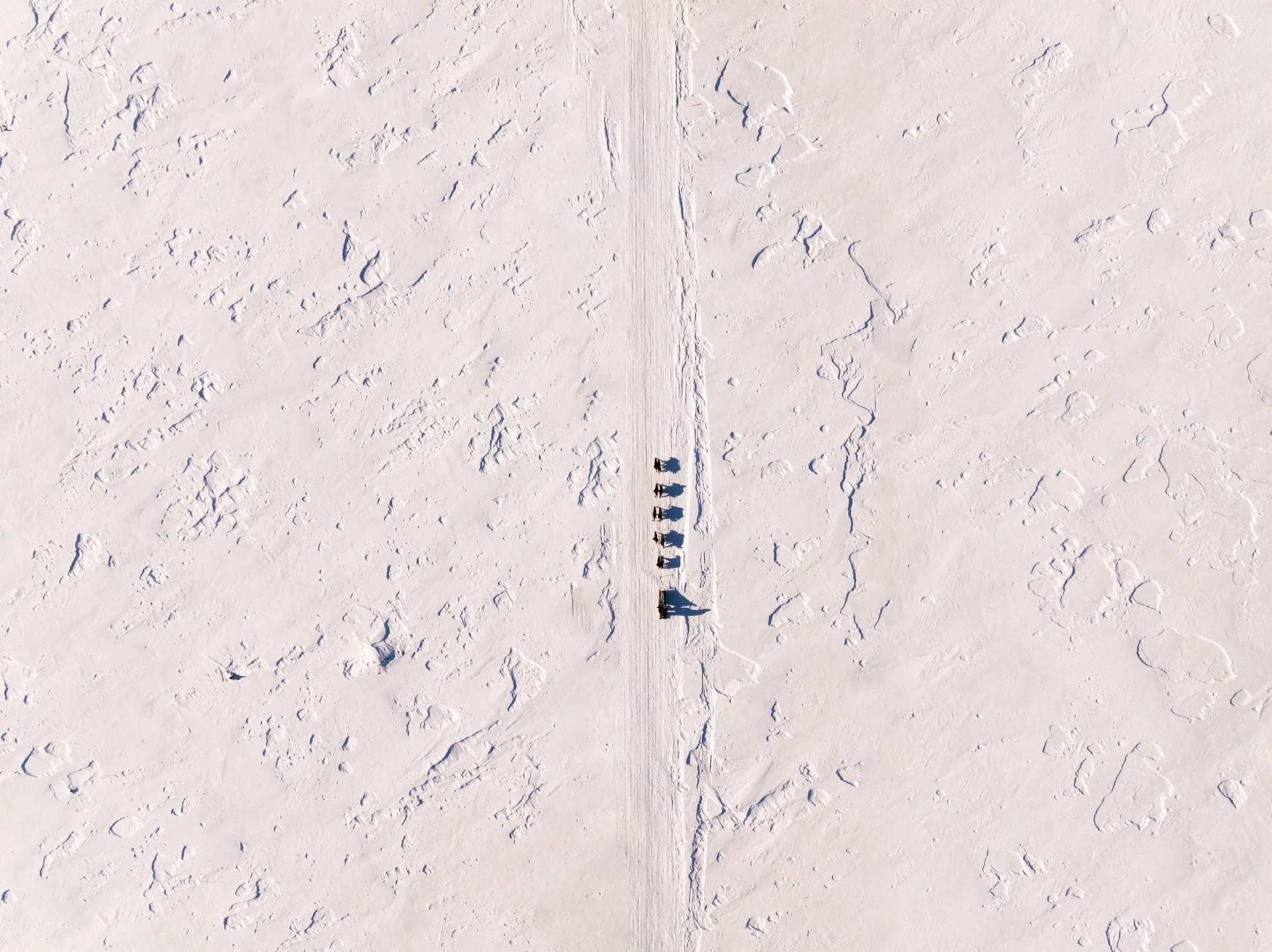 A dog sled team seen from above