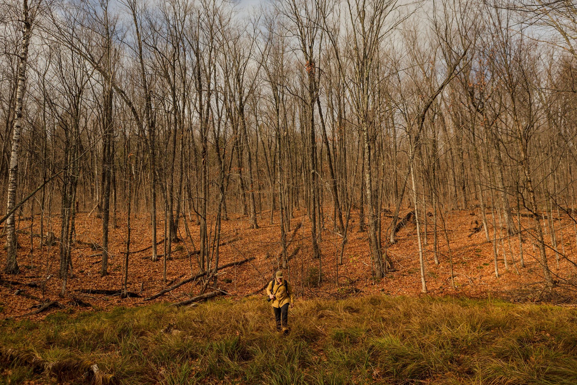 A man hikes through woods in the winter