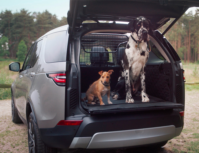 Land Rover’s New Accessories Will Make Adventures With Your Dog Easier and Safer